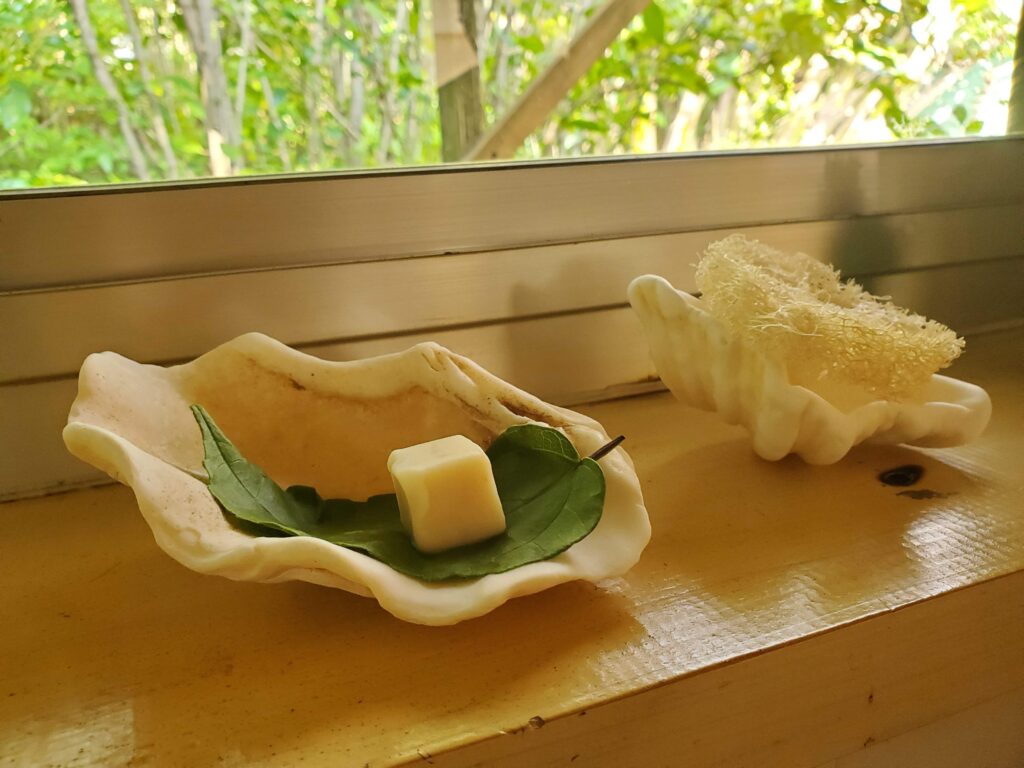 貝殻の石鹸置き