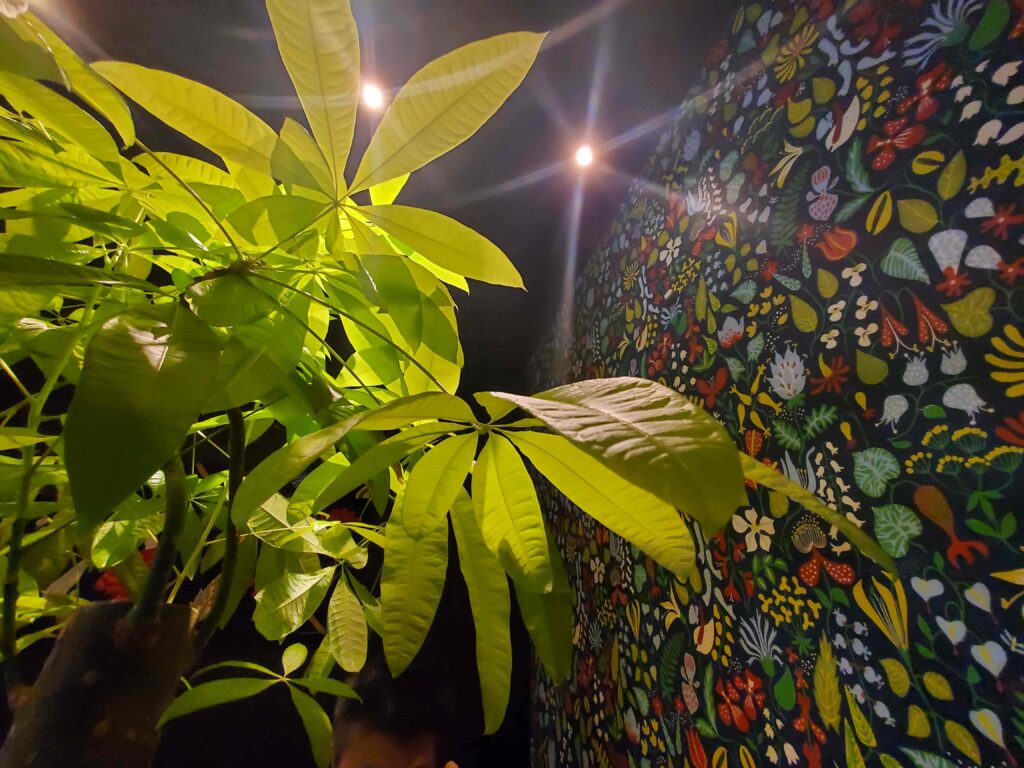 ちきゅうやの店内