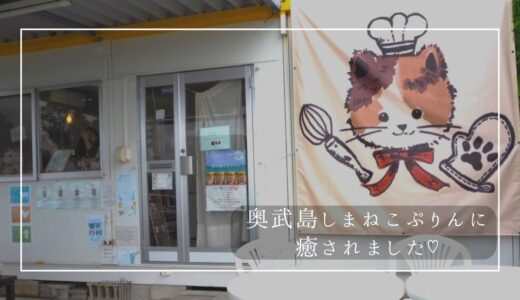 沖縄ドライブでおすすめ！「奥武島しまねこぷりん」と猫に癒される♡