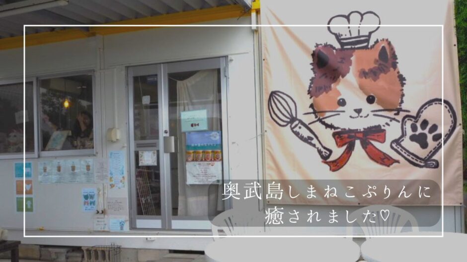 沖縄ドライブでおすすめ！「奥武島しまねこぷりん」と猫に癒される