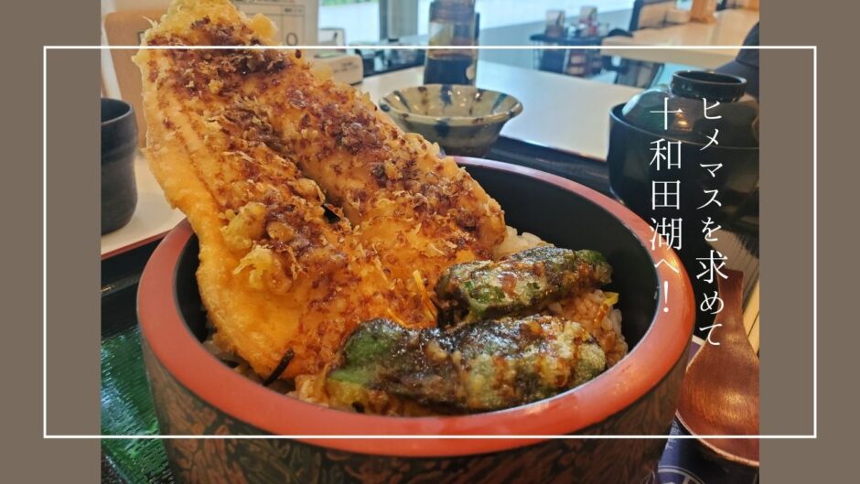 ヒメマスを食べに十和田湖へ！お寿司から天ぷらまで幅広いメニューに感動。