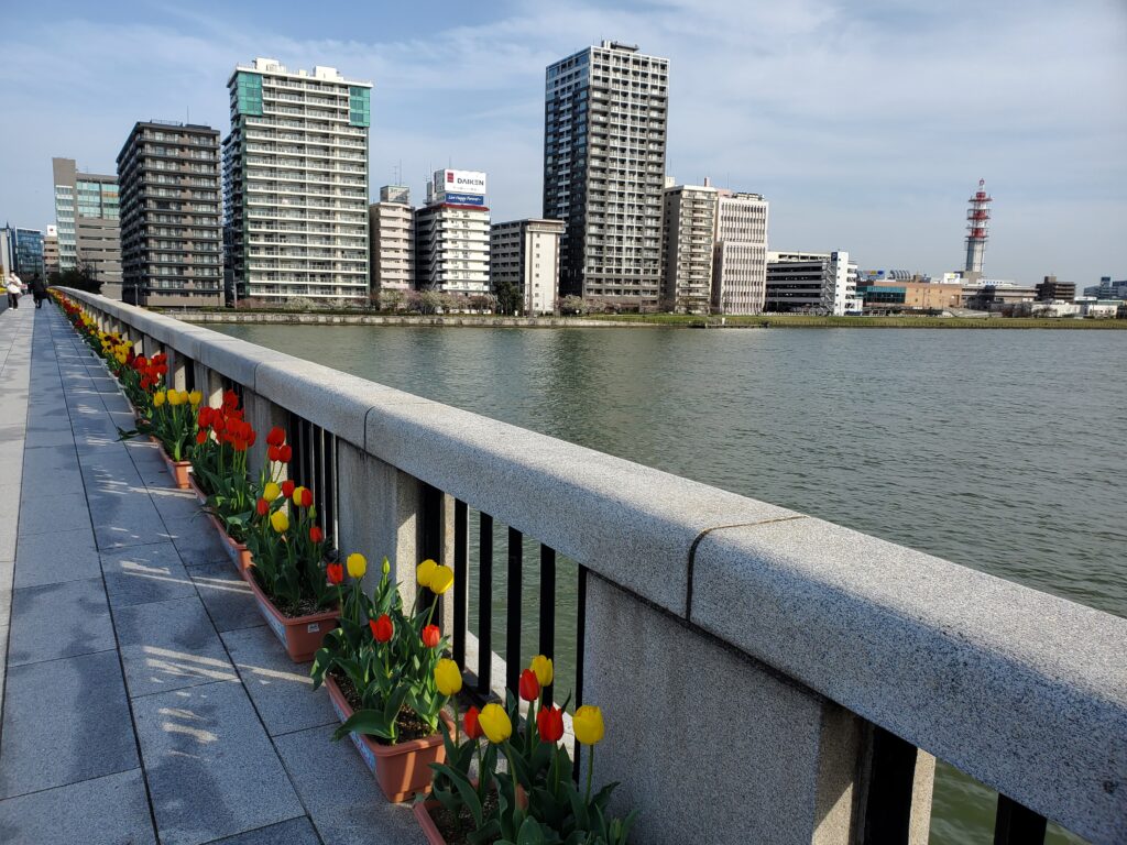 新潟市内の風景